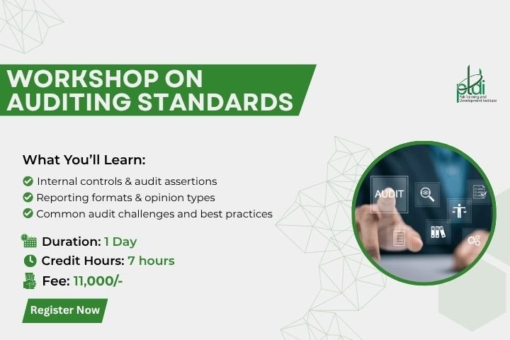 Workshop on auditing standards
